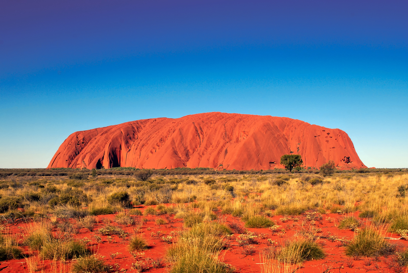 Matkablogi Muuttolintu Seikkailuja Kylmästä Lämpimään