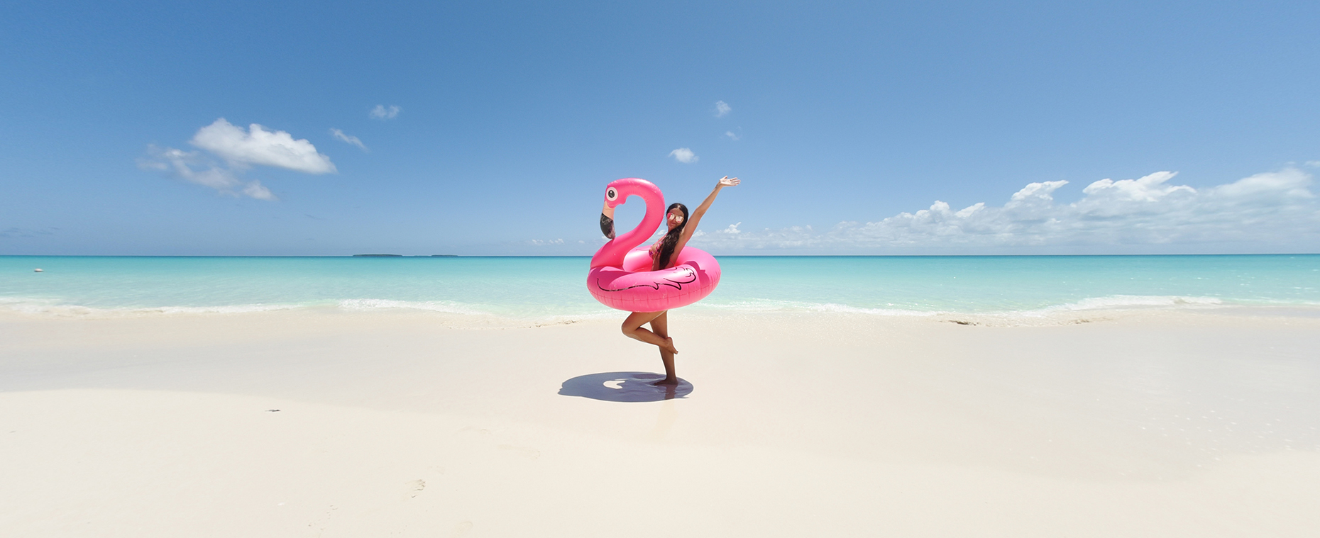 Muuttolintu Kylmästä Lämpimään